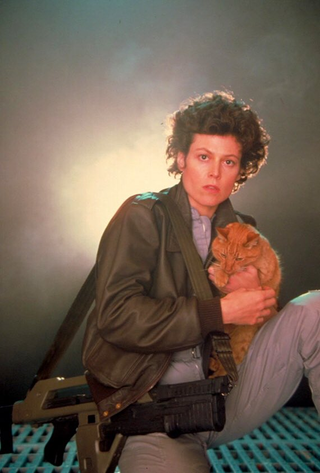 Illustration for article titled What Is Jones the Cat Thinking in These Incredible Aliens Promo Photos?